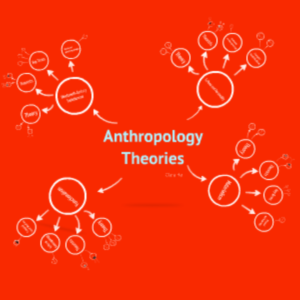 Unit 6 : Anthropological Theories
