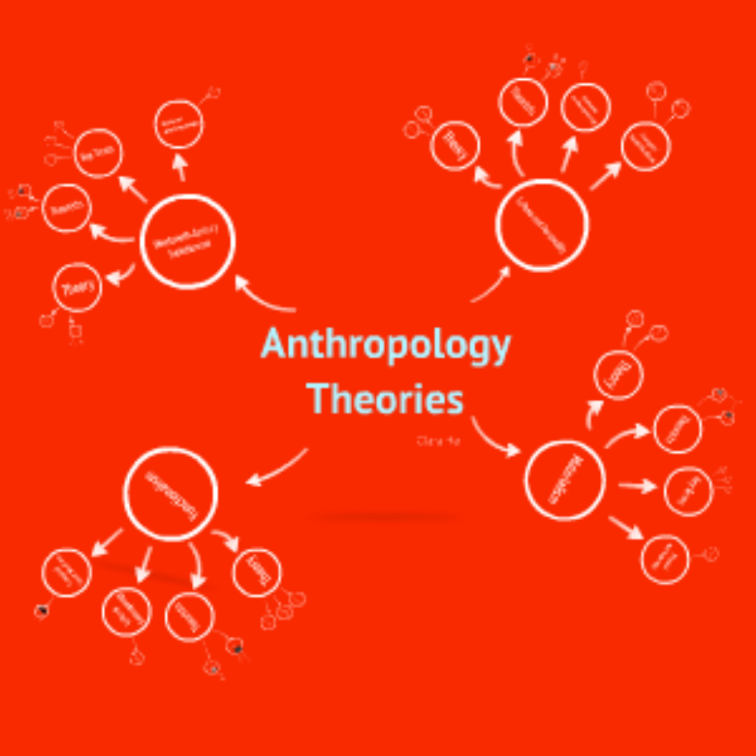 Unit 6 : Anthropological Theories